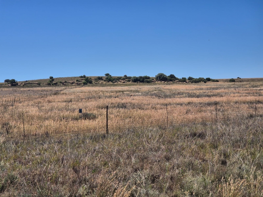 0 Bedroom Property for Sale in Edenburg Rural Free State